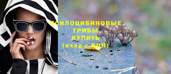 хмурый Медногорск