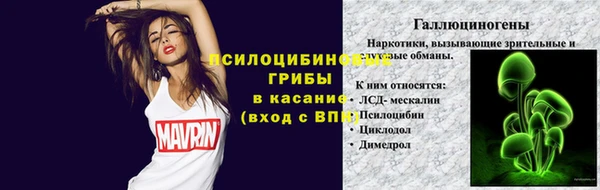 хмурый Мегион
