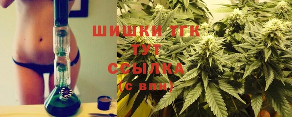 apvp Михайлов