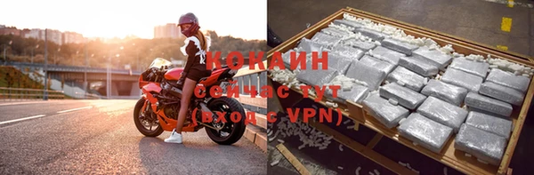 хмурый Мегион